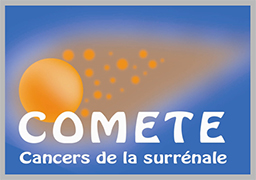 Logo COMETE