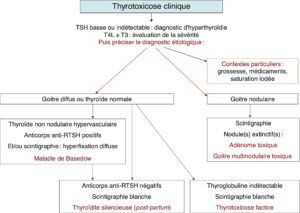 Item 242 - Hyperthyroïdie - Société Française d'Endocrinologie